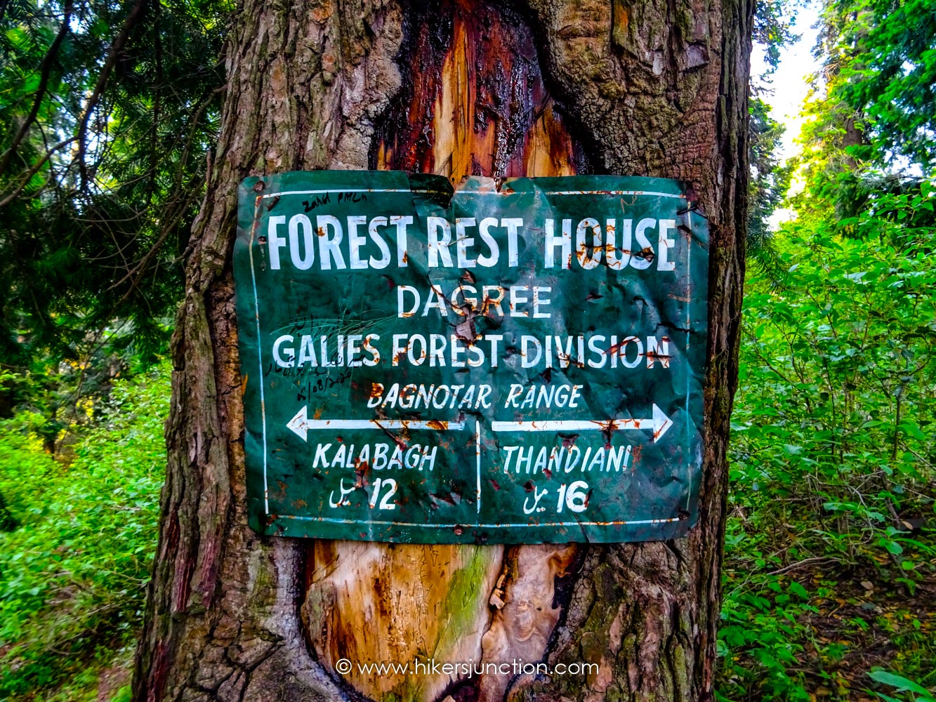 Dagri forest rest house board